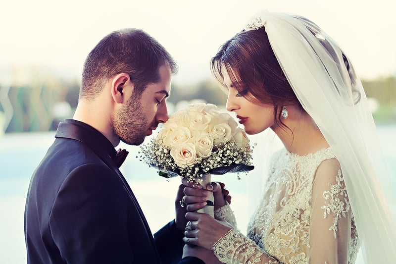 Sheer Veil